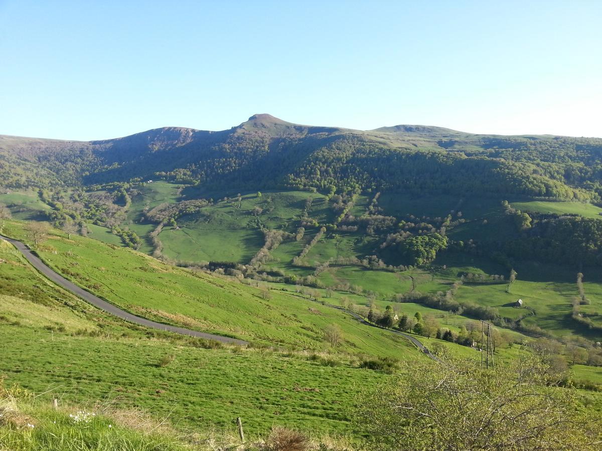 Auberge Du Col De Neronne 호텔 Le Falgoux 외부 사진